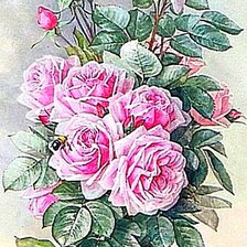 Схема вышивки «№1869033»