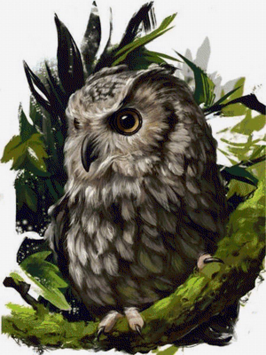 Сова на ветке - птичка, рисунок, ветка, птица, сова - предпросмотр