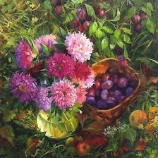 СЛИВЫ И АСТРЫ