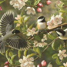 Схема вышивки «№1869545»