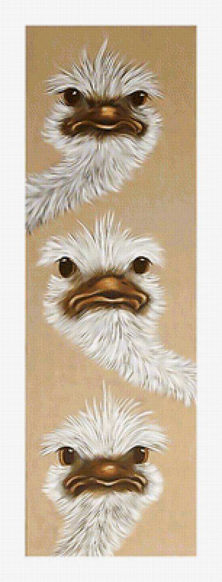 Серия "Птицы" - птицы, фауна - предпросмотр