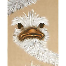 Схема вышивки «Серия "Птицы"»