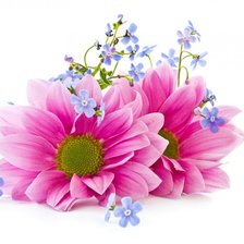 Схема вышивки «Цветы»