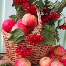 Схема вышивки «натюрморт»