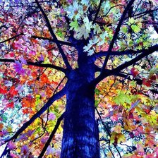 Схема вышивки «№1870075»