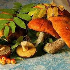 Схема вышивки «№1870158»