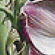 Предпросмотр схемы вышивки «Серия "Букет". Амарилисы» (№1870408)