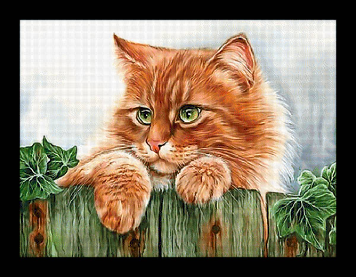 Серия "Коты". - животные, коты - предпросмотр