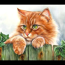 Схема вышивки «Серия "Коты".»