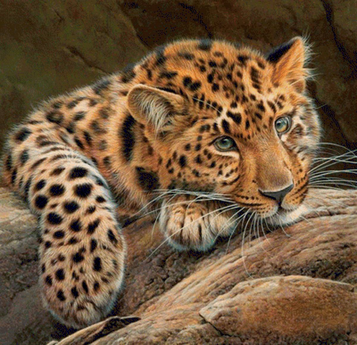 Леопард - леопард, животные, рисунок - предпросмотр