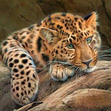 Схема вышивки «Леопард»