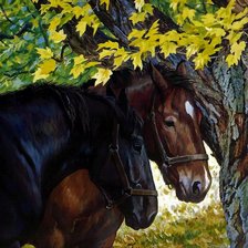 Схема вышивки «Лошади»