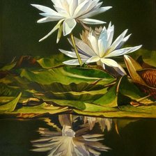 Схема вышивки «Кувшинки»