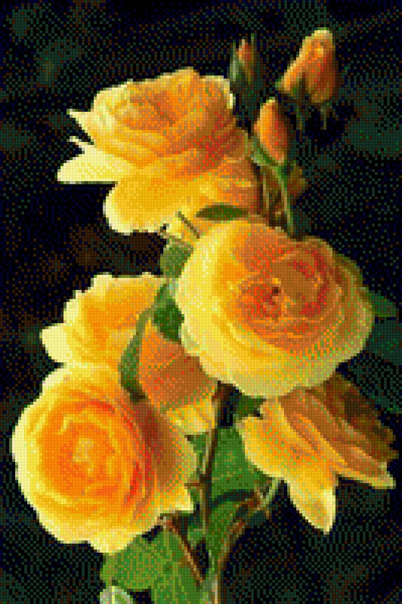 Желтые розы - предпросмотр