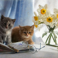 Схема вышивки «котики и цветы»