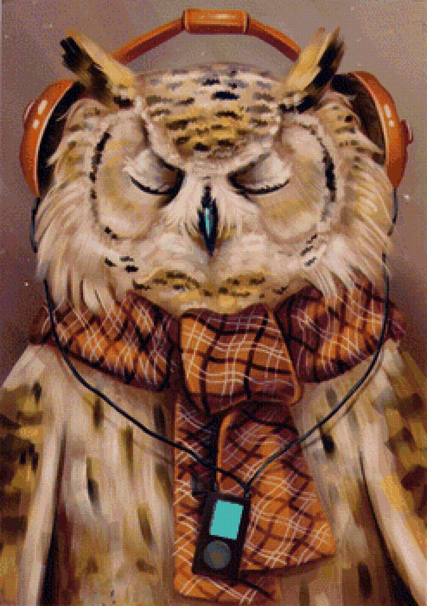 Сова - птичка, сова, рисунок, птица - предпросмотр