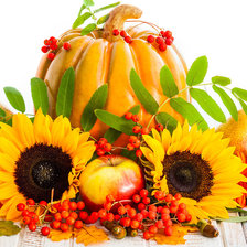 Схема вышивки «Фрукты и подсолнухи»