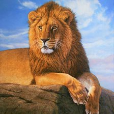 Схема вышивки «Лев»