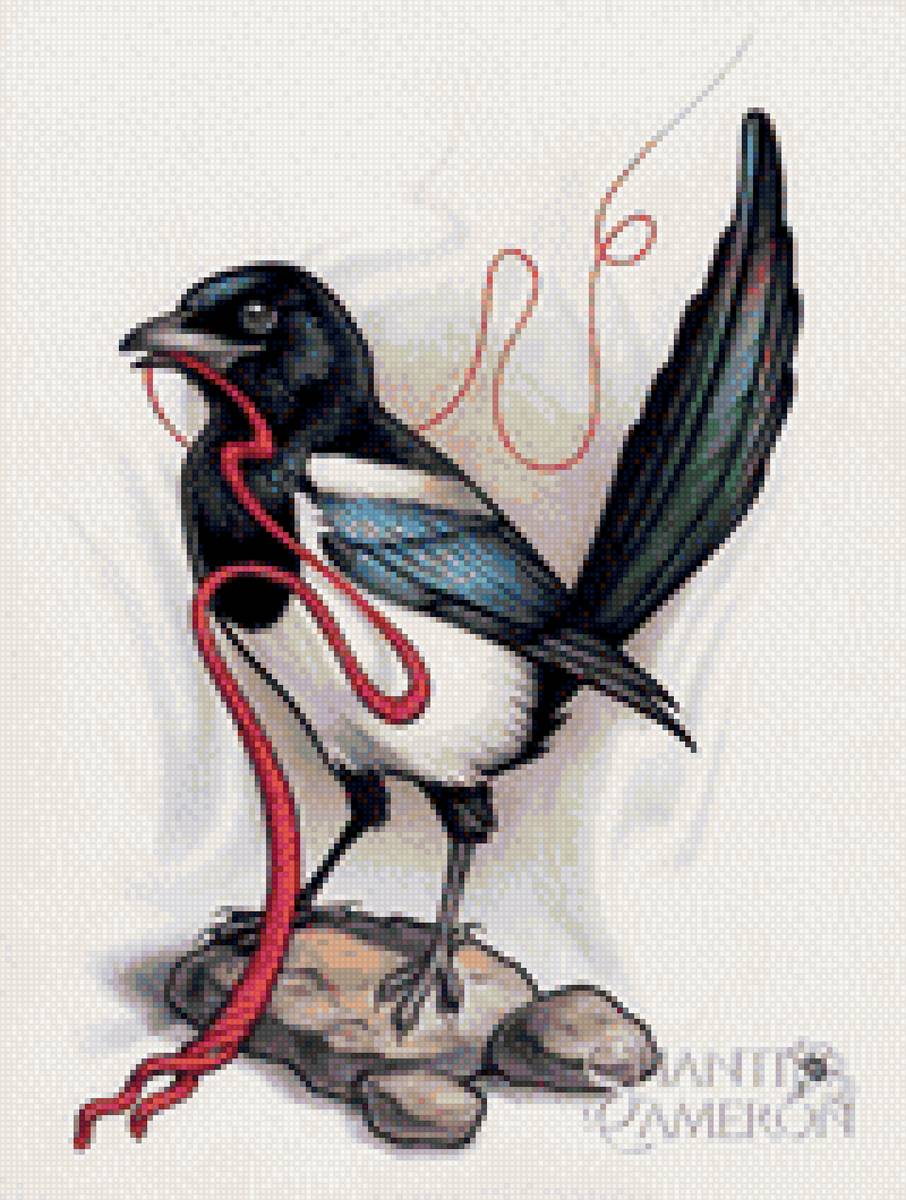 Сорока - красный, камни, нить, сорока, черно-белый - предпросмотр