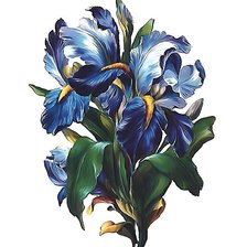 Схема вышивки «№1871254»