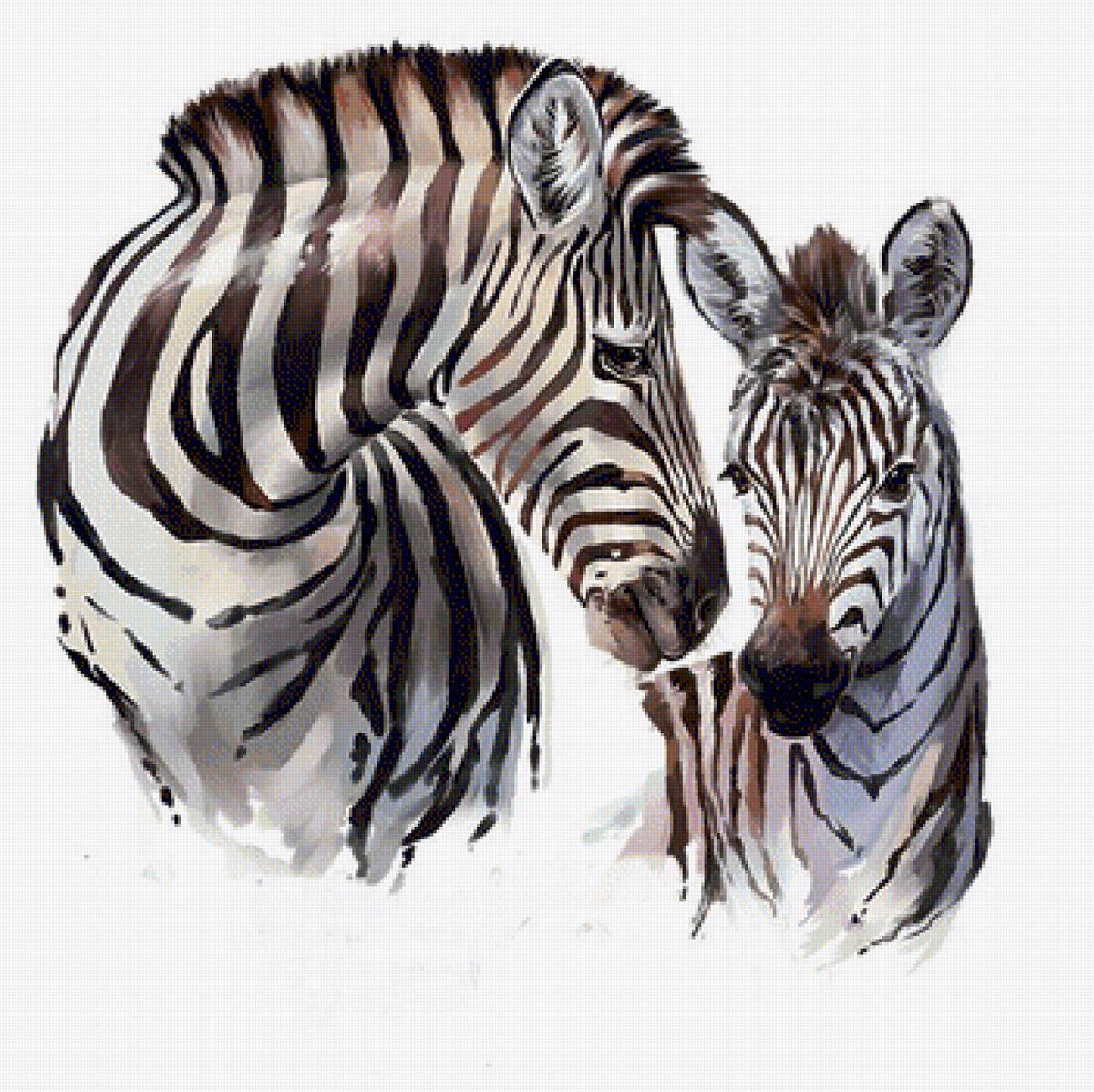 CEBRAS - 350 x 351 ceucws - предпросмотр