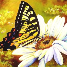 Схема вышивки «бабочка»