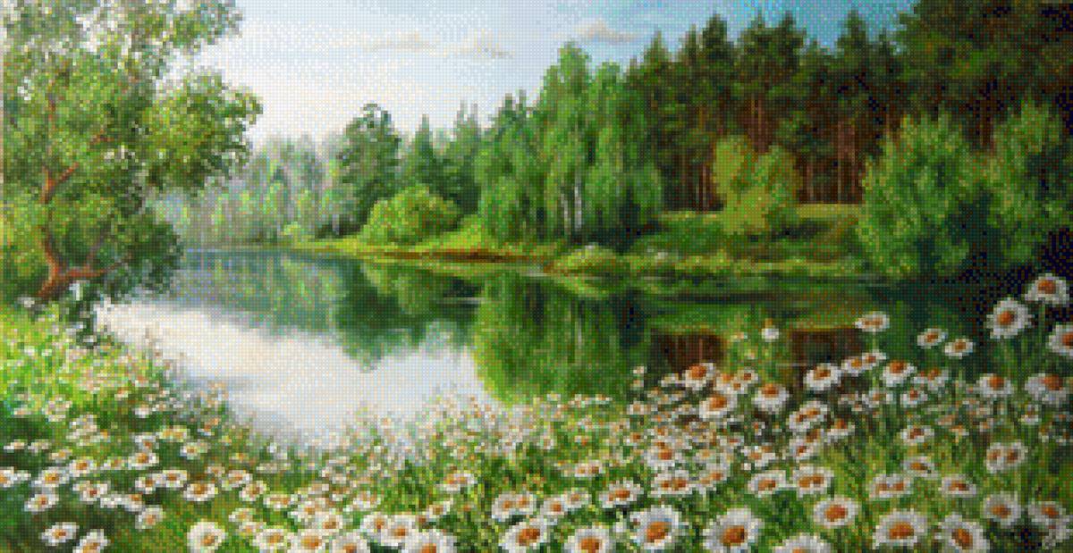 ромашки - ромашковое поле - предпросмотр