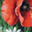 Предпросмотр схемы вышивки «букет маков» (№1871579)
