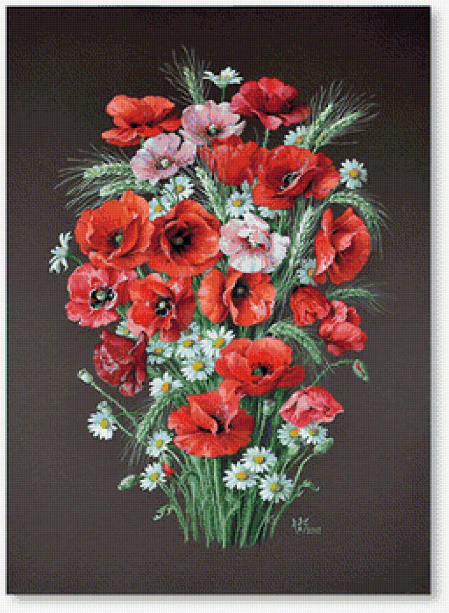 букет маков - маки - предпросмотр