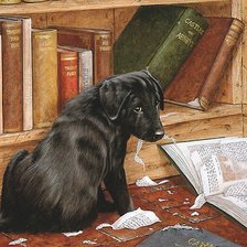 Схема вышивки «щенок»