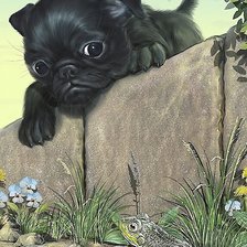 Схема вышивки «щенок и лягушка»