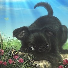 щенок и пчела