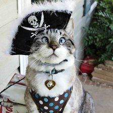 Схема вышивки «Спанглс пират»