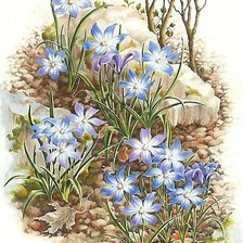 Схема вышивки «весенние цветы»