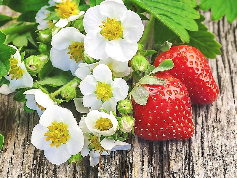 №1871863 - оригинал