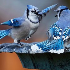 Схема вышивки «download»