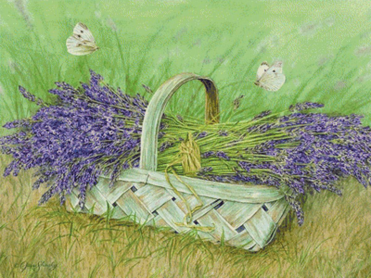 Лаванда в корзине - бабочки, цветы, лаванда, корзина - предпросмотр