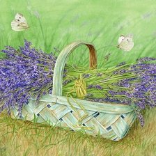 Лаванда в корзине