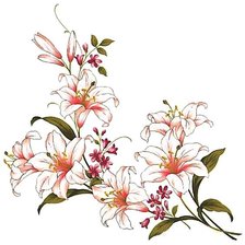 Схема вышивки «лилии»