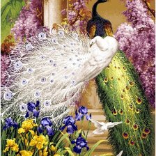 Схема вышивки «павлины и голуби»