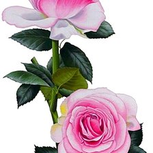 Схема вышивки «№1872504»