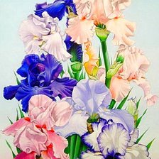 Схема вышивки «№1872523»