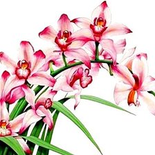 Схема вышивки «№1872535»