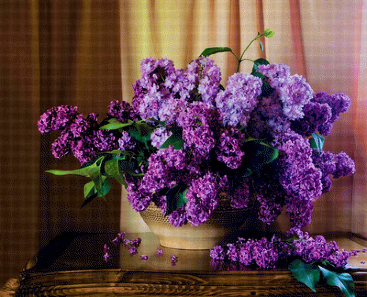 Сирень - натюрморт, букет, цветы, сирень - предпросмотр