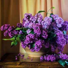 Схема вышивки «Сирень»