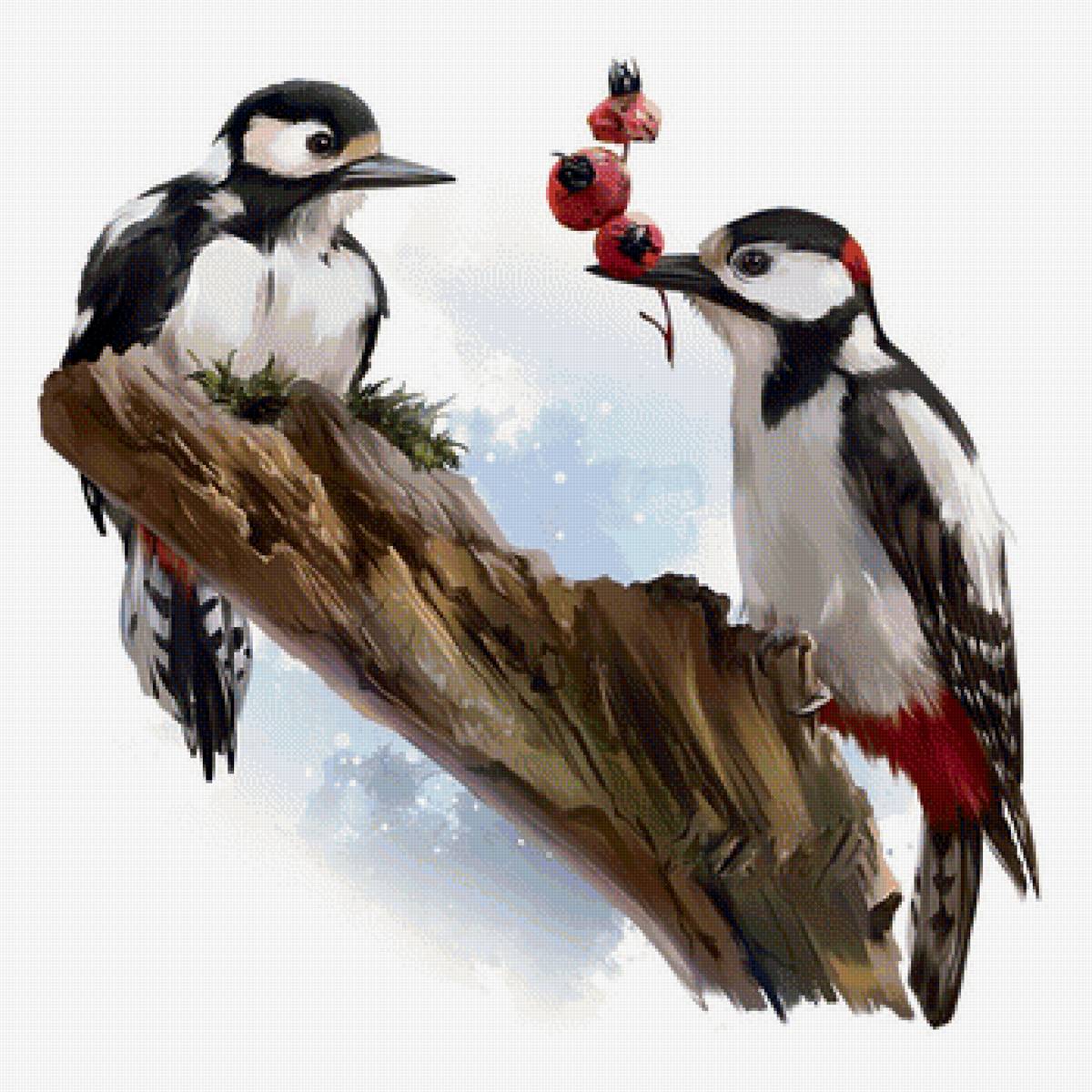 Птички - птицы, рисунок, птички - предпросмотр