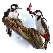 Схема вышивки «Птички»