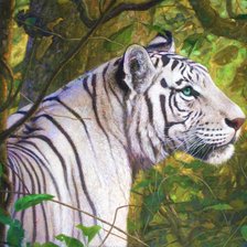 Схема вышивки «Белый тигр»