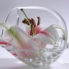 Схема вышивки «лилия в бокале»