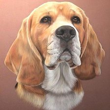 Схема вышивки «собака»